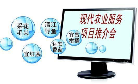 互联网 农产品的营销新模式竟如此方便有效