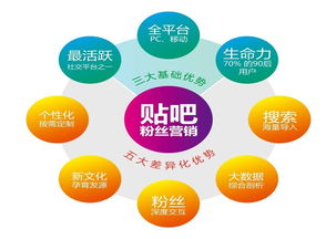 兰州网络推广外包作用
