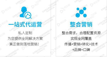 互联网思维下的品牌营销策略转型 适应、连接与创新