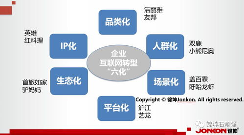 连锁与互联网品牌营销专家 锦坤的互联网销售之道